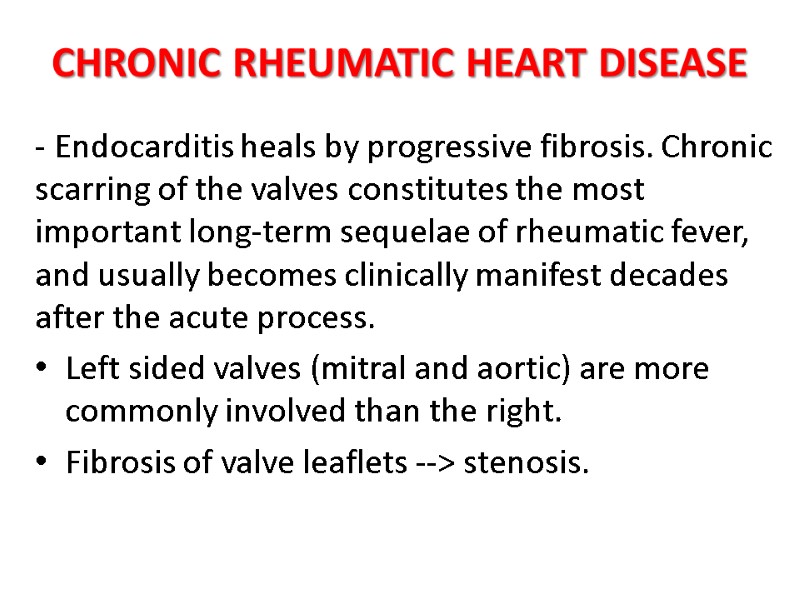 CHRONIC RHEUMATIC HEART DISEASE - Endocarditis heals by progressive fibrosis. Chronic scarring of the